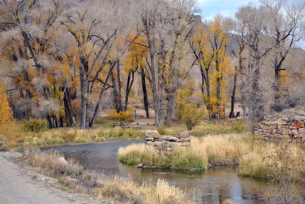 On a late fall day, the leaves have fallen off most trees with a few trees still sporting golden leaves. There is a flowing river with all yellow and green grasses along a dirt road.