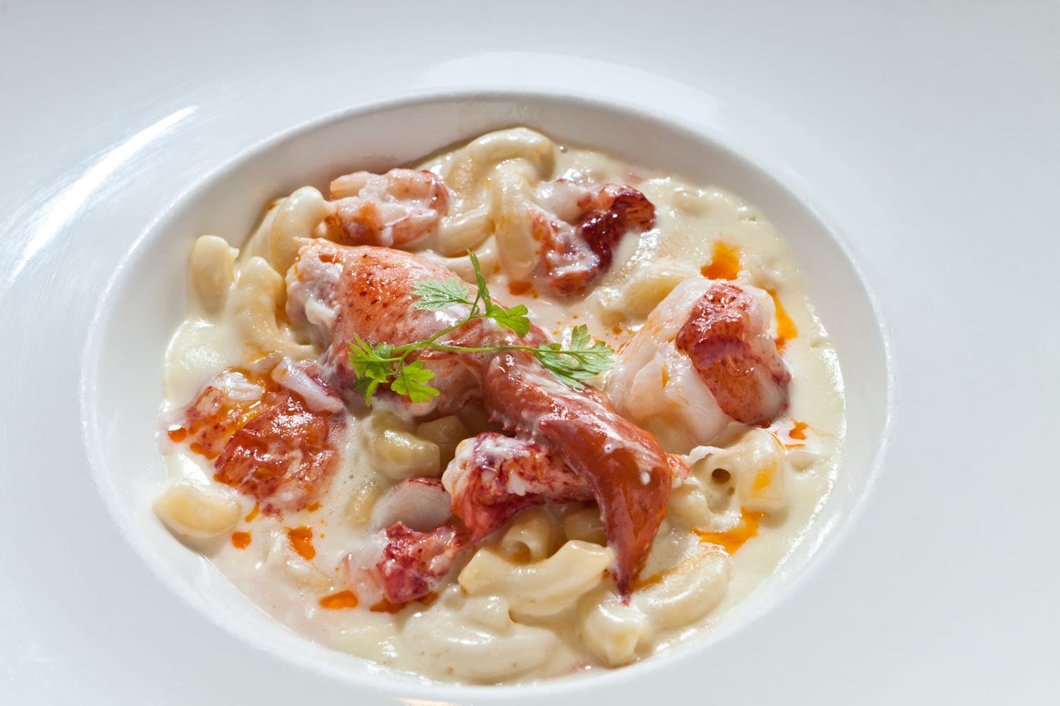 Tender, juicy chunks of lobster meat are mixed with creamy, white pasta in a simple bowl at Mizuna in Denver, Colorado.