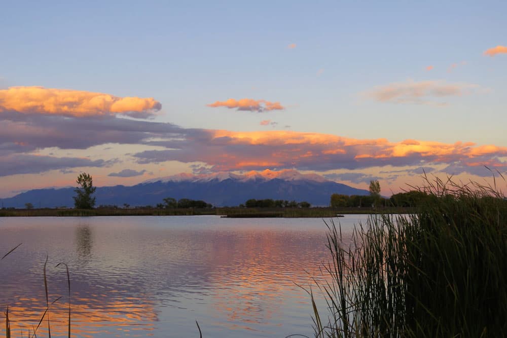 A patch of green reeds sways in the breeze around a calm lake in Colorado. The pink, purple and orange of the sunset are reflected in the lake waters.