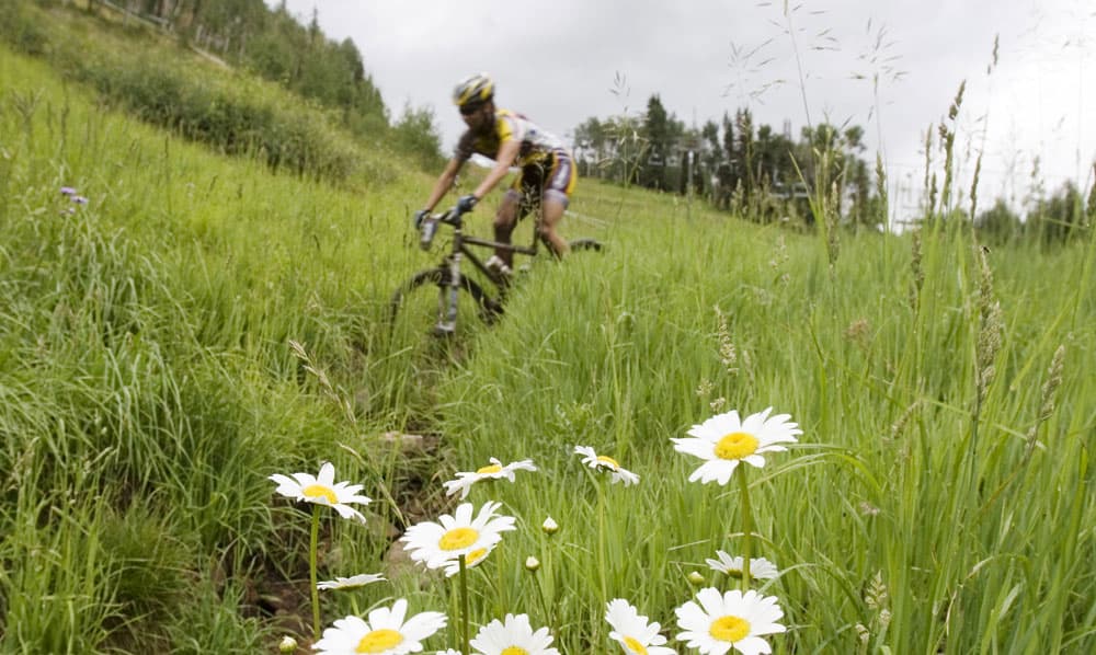 A person mountain bikes down a bright green trail with white wildflowers in Salida