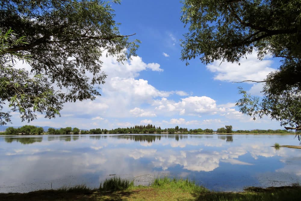 Fluffy clouds and a bright-blue sky reflect in the glass-like surface of a body of water at San Luis State Wildlife Area in Colorado.