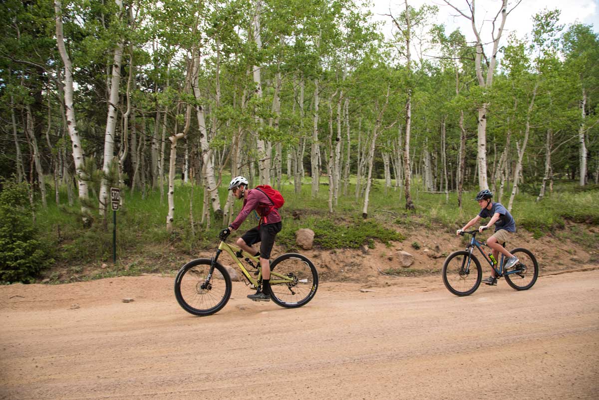 Two people biking among green aspen trees