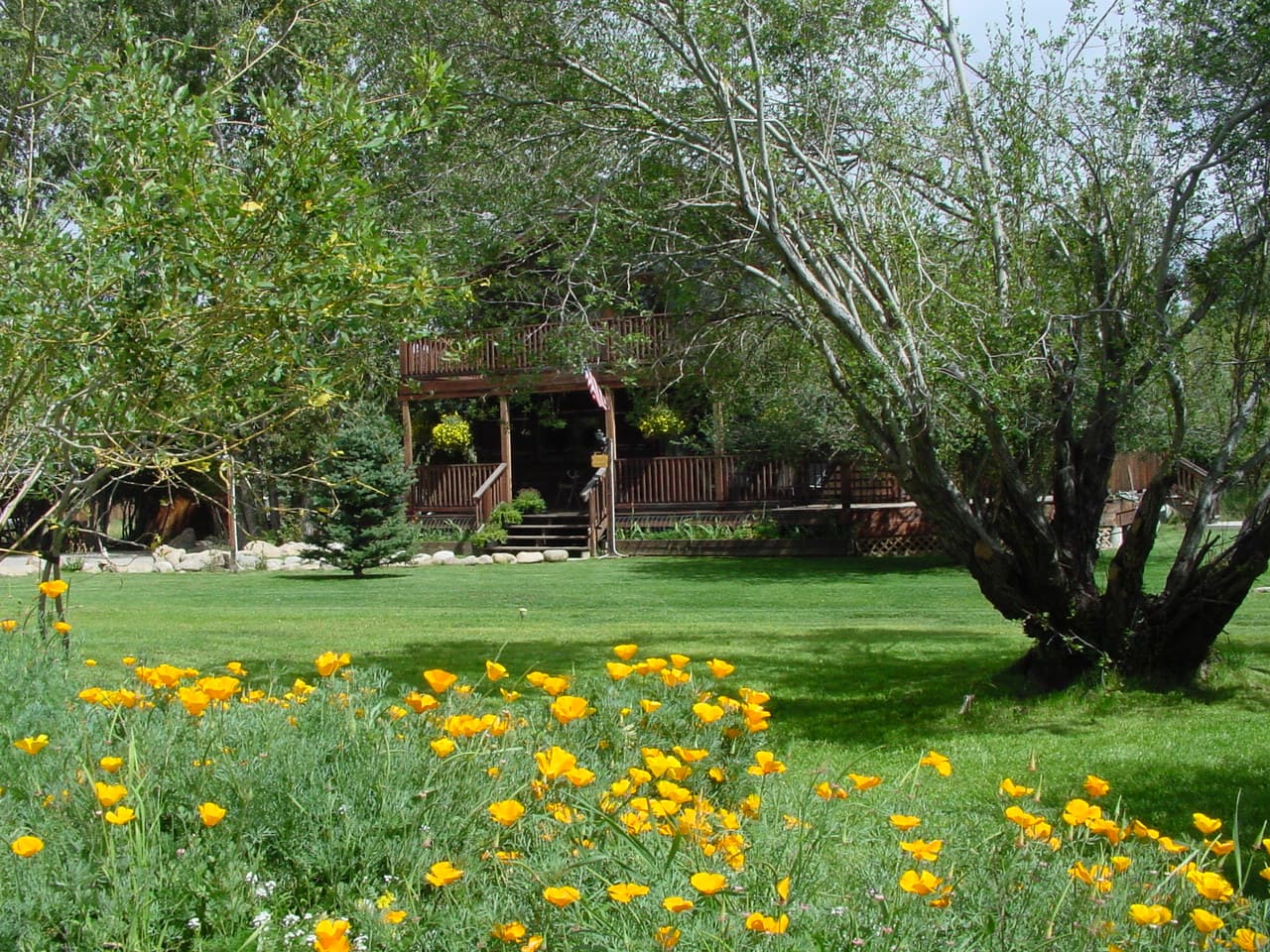 buffalo peaks b&b photo