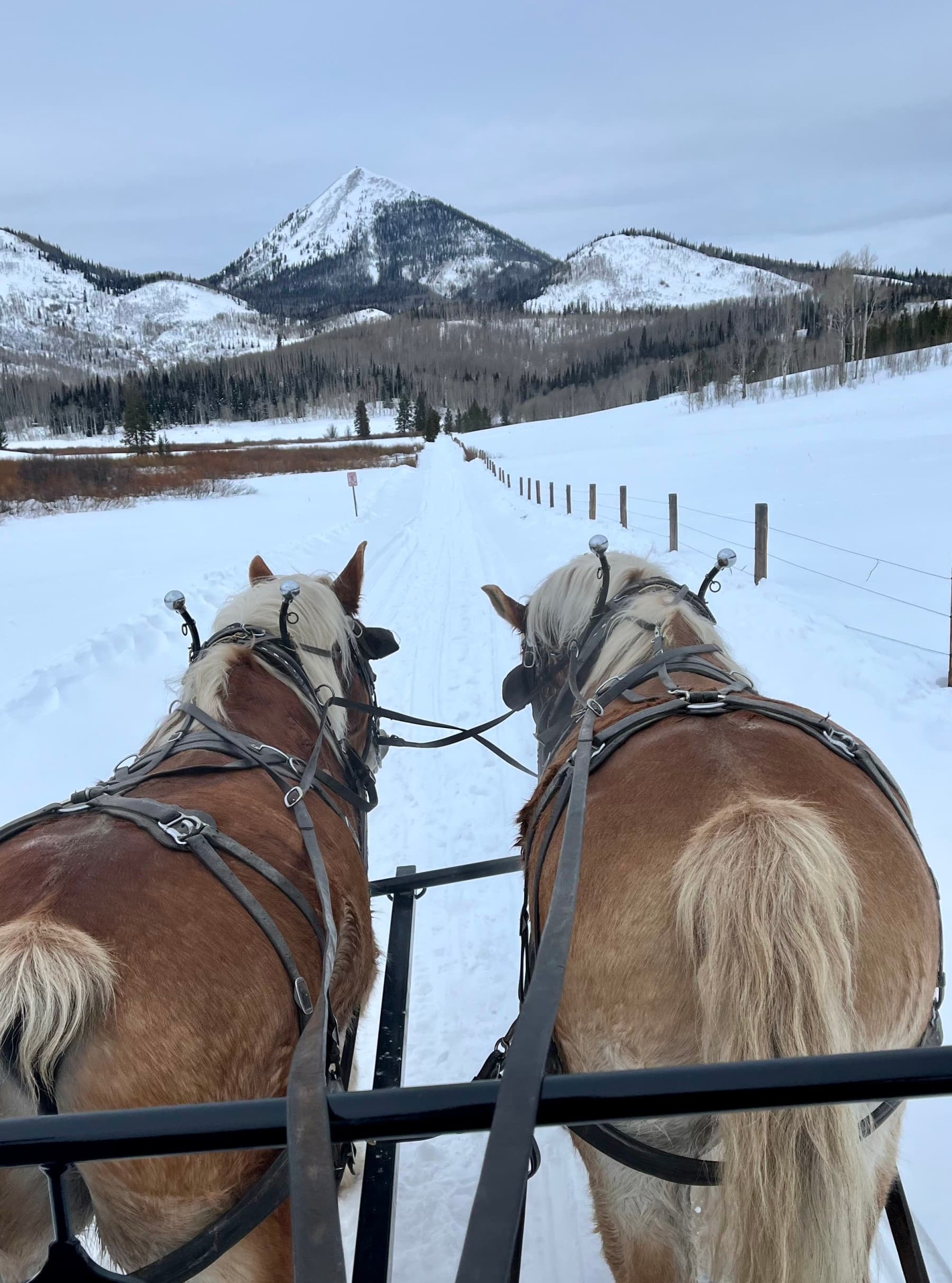 steamboat lake outpost photo 9