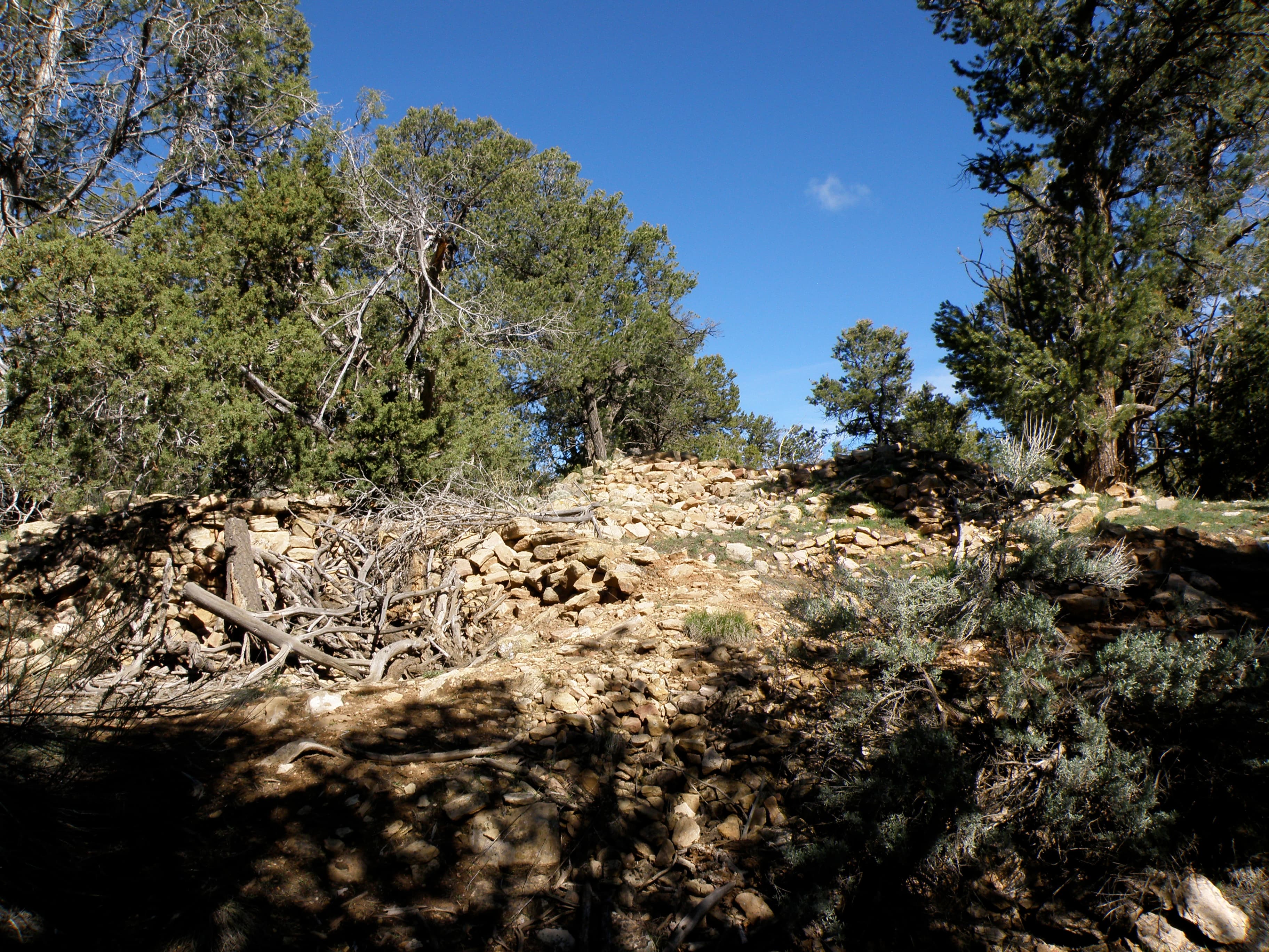 photo by tom vaughn photo