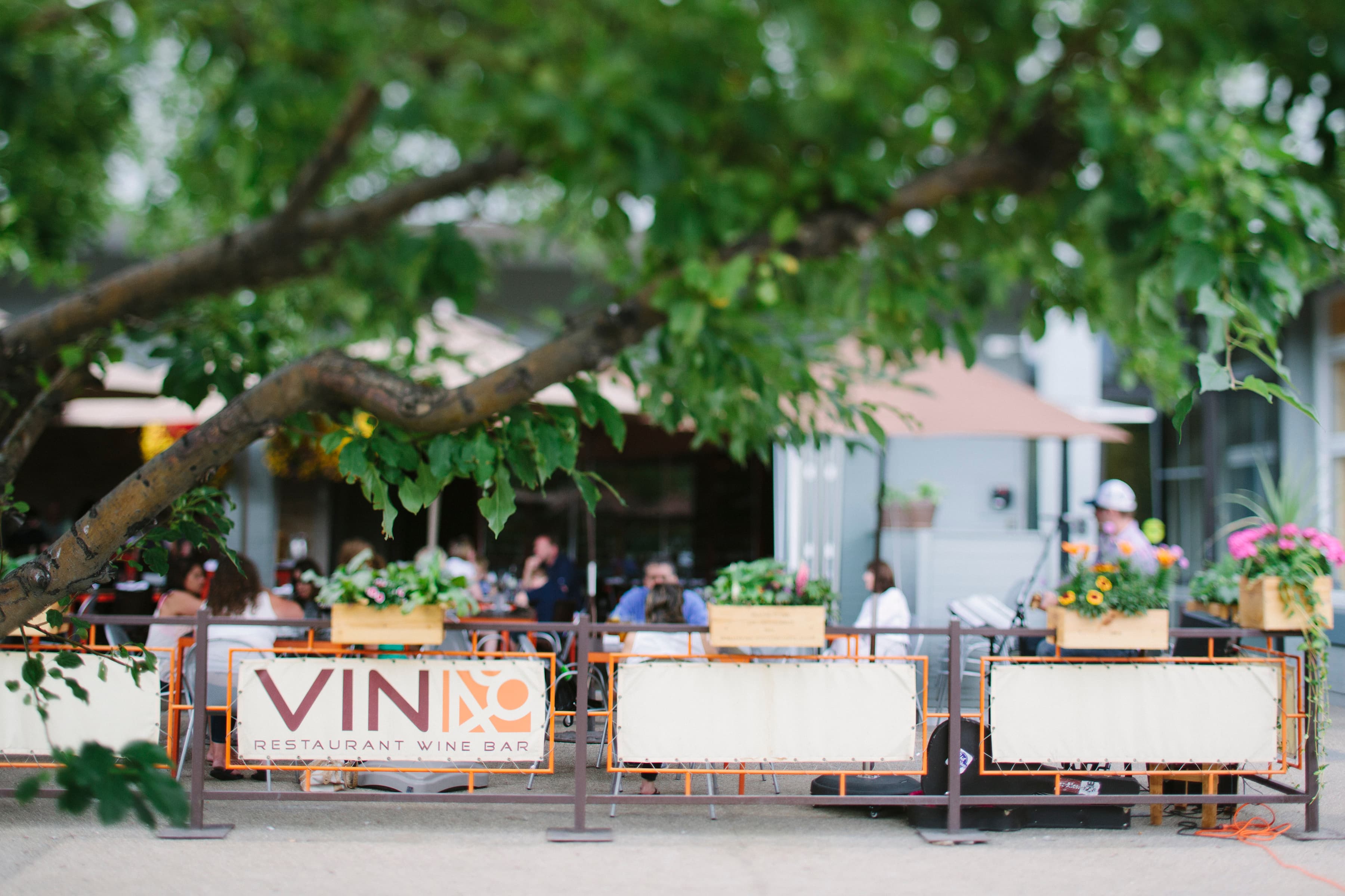 summer time on the patio photo
