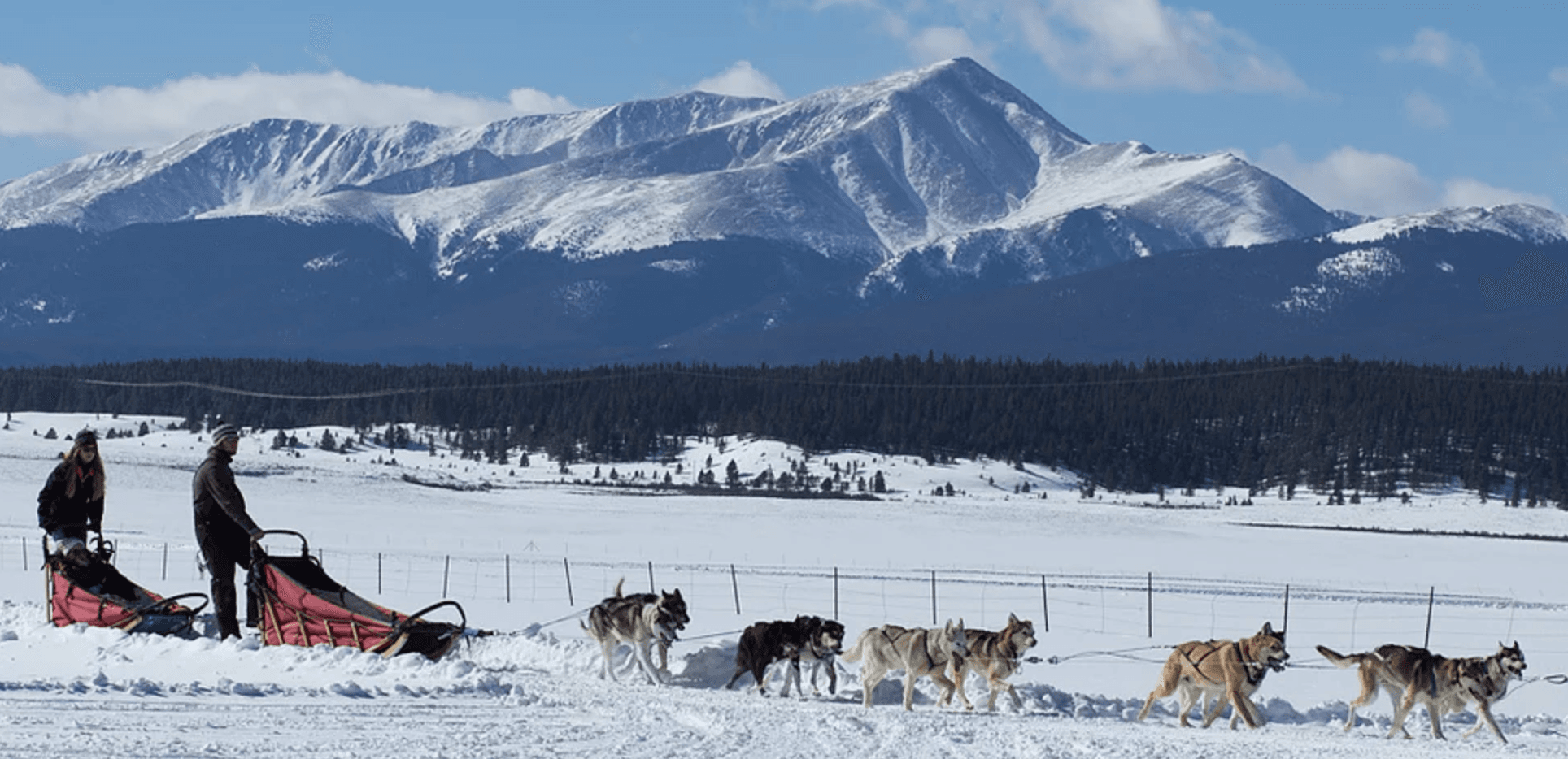 alpine adventures dogsledding photo