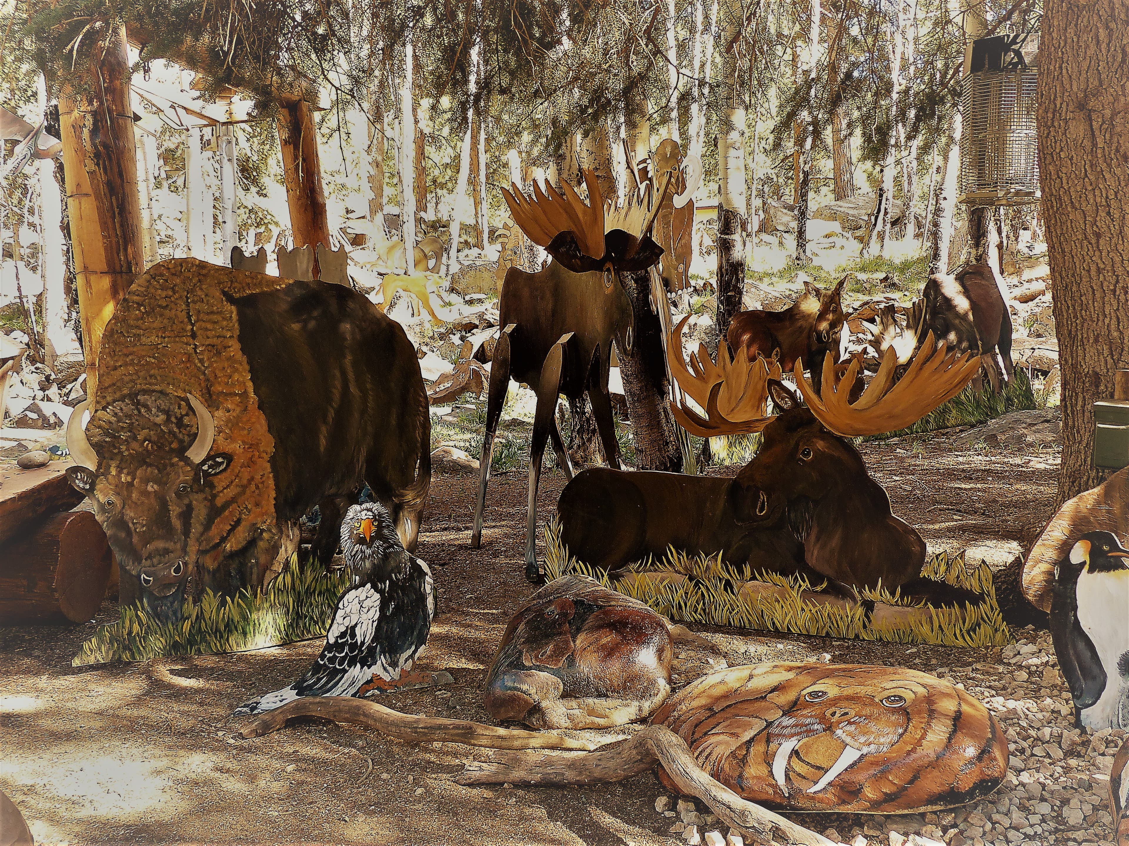 some of the animals to be seen with many more to view on the tour. photo