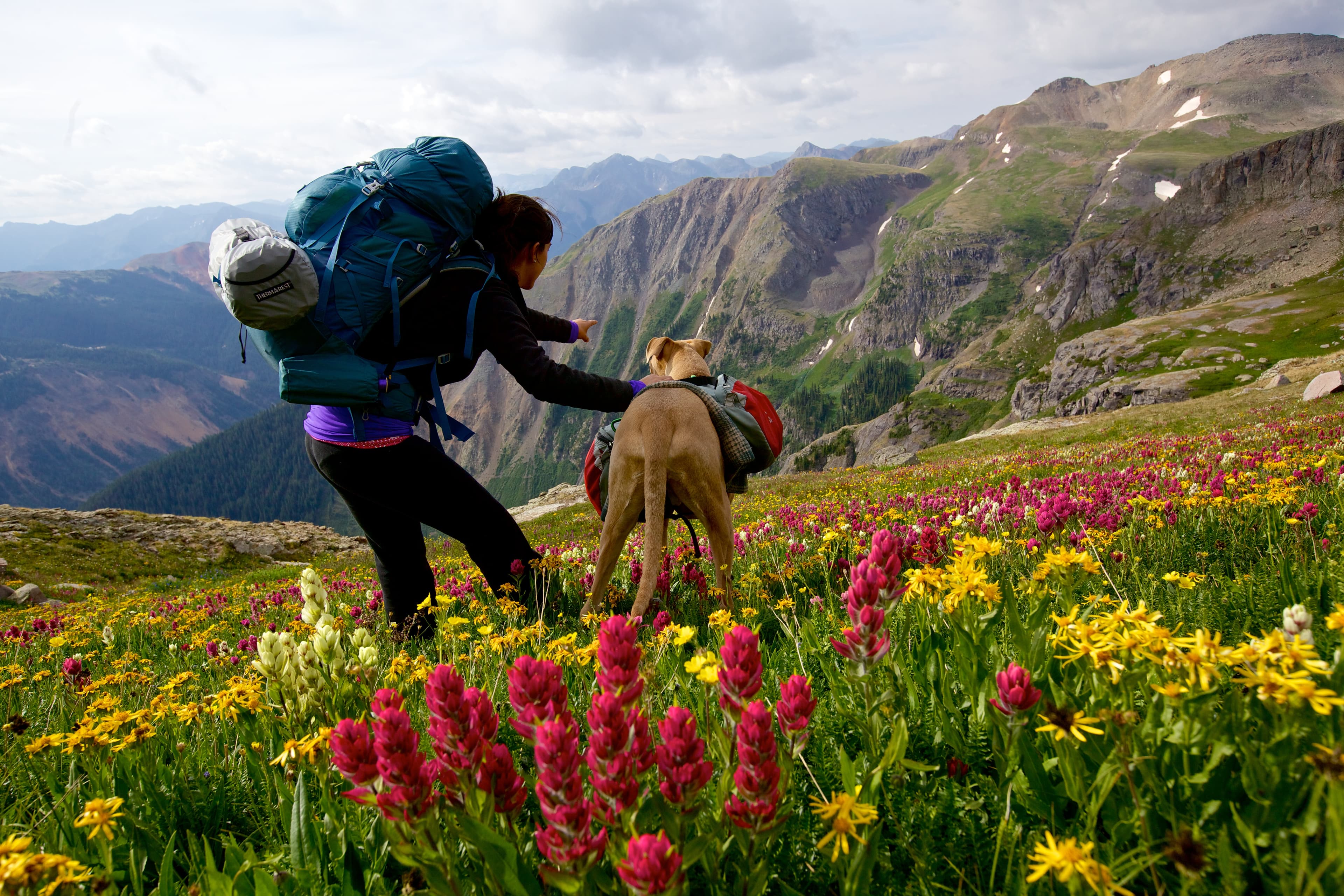 in ouray, you can step out your front door and right into the spectacular san juan mountains. photo
