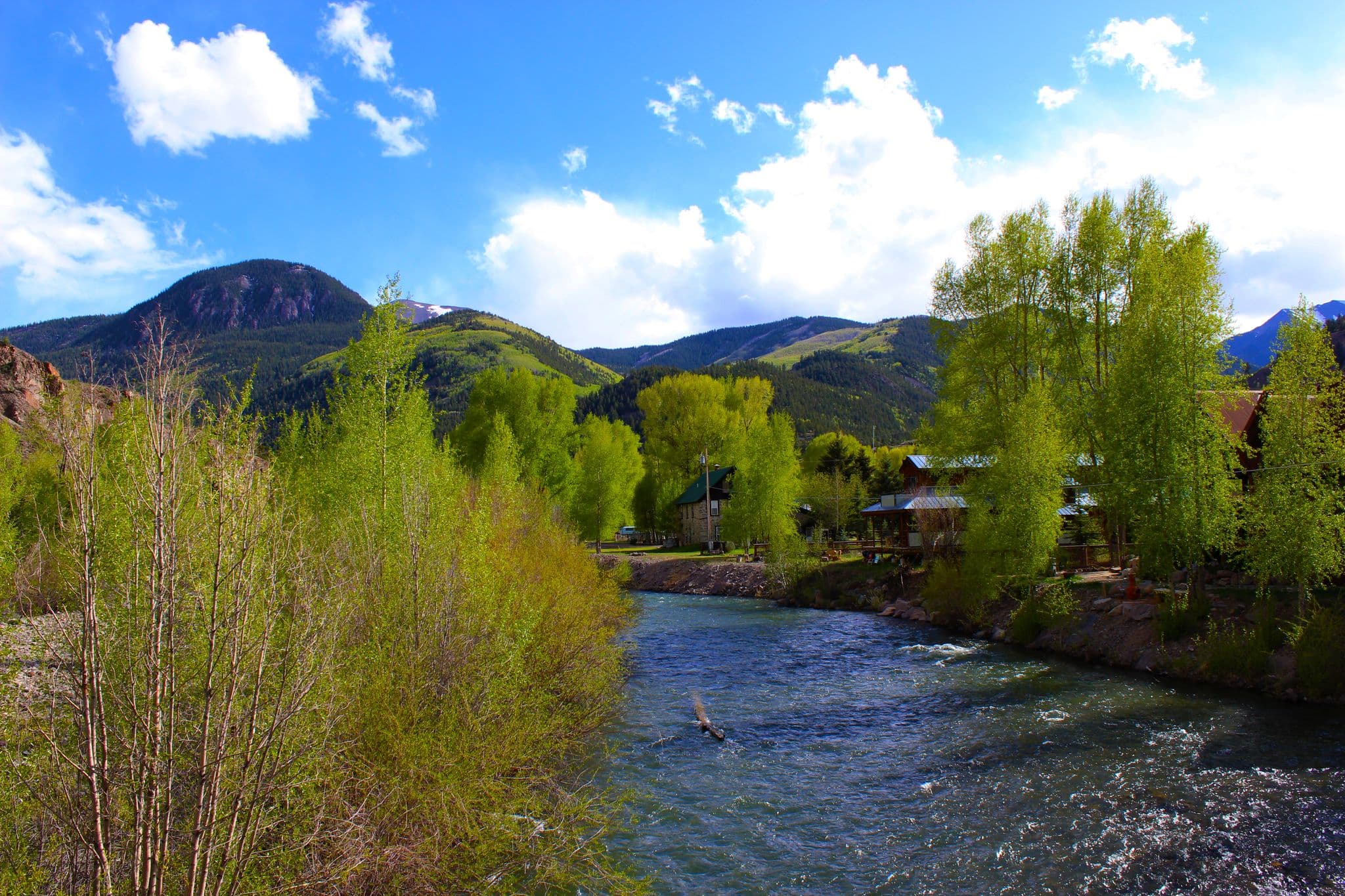sportsman's bbq station & backyard in lake city photo
