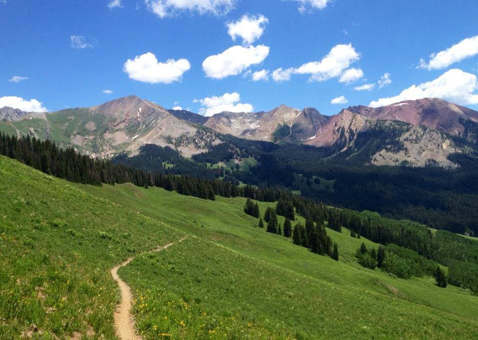 big al's bicycle heaven photo
