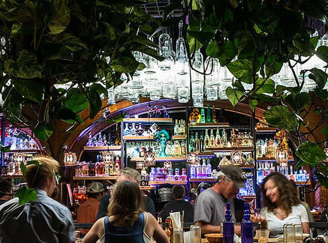 bonez in crested butte photo