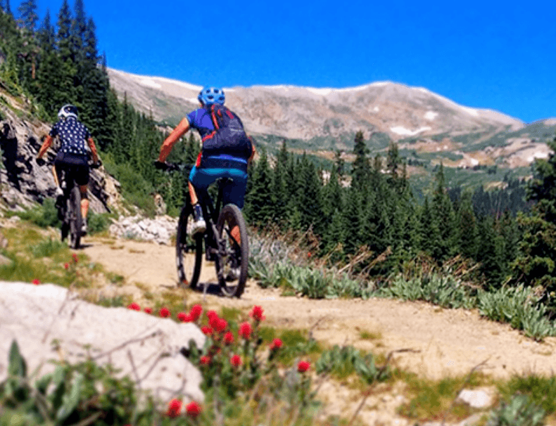 absolute bikes in salida photo