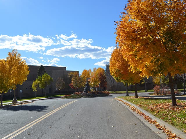 center of southwest studies museum photo