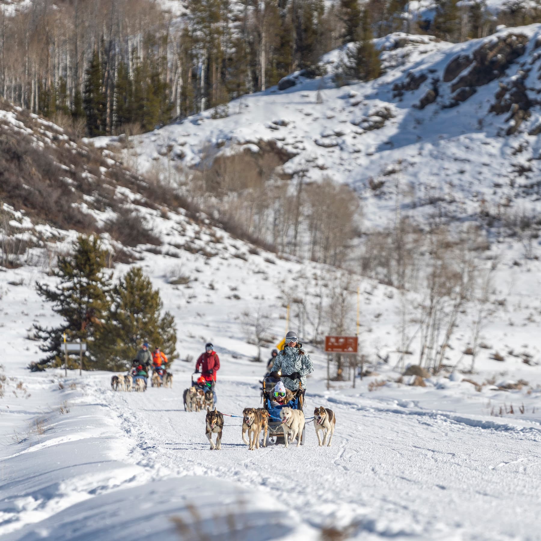 vista verde ranch photo 17