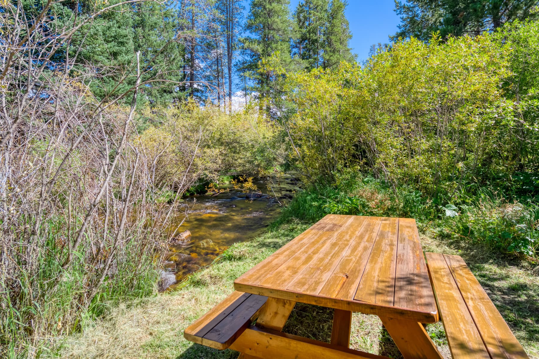 creekside picnic area photo 14