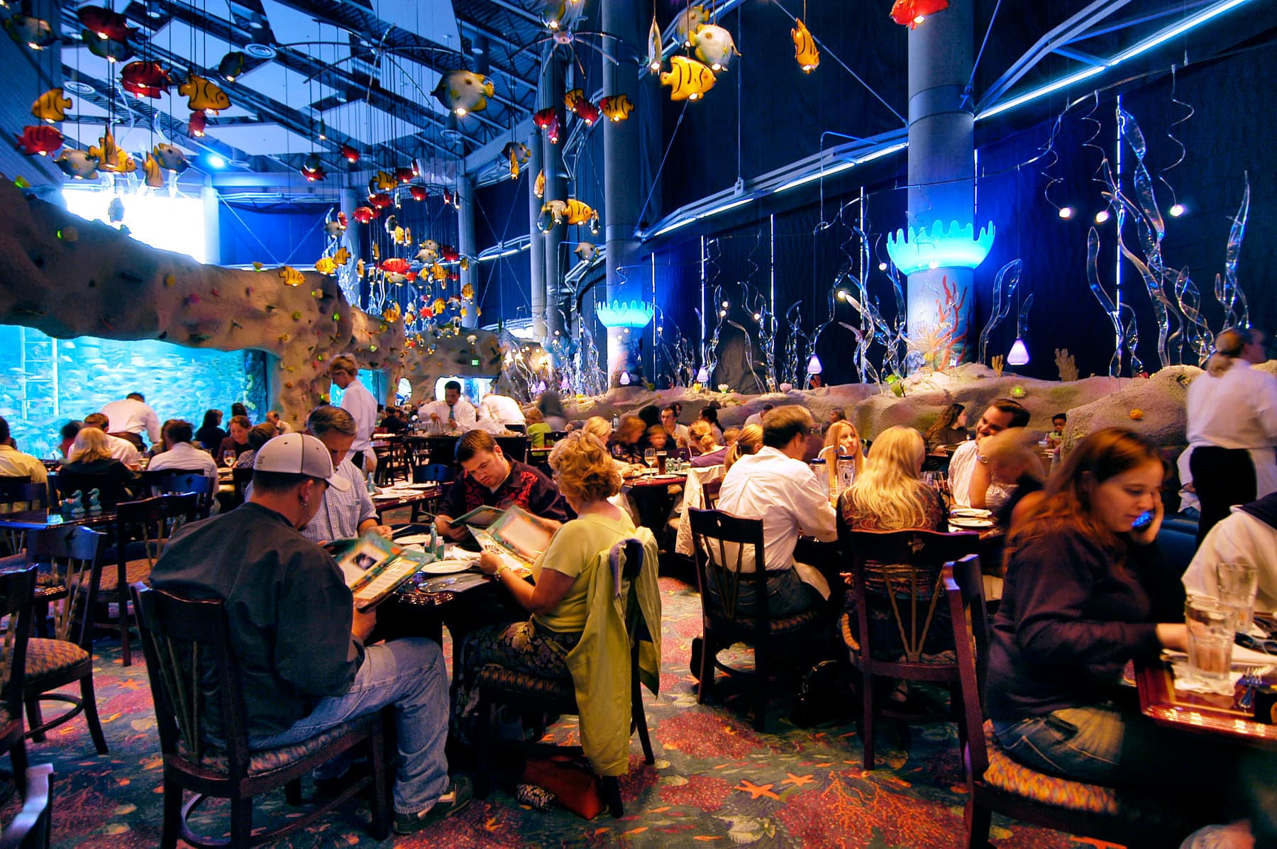 aquarium restaurant photo 2