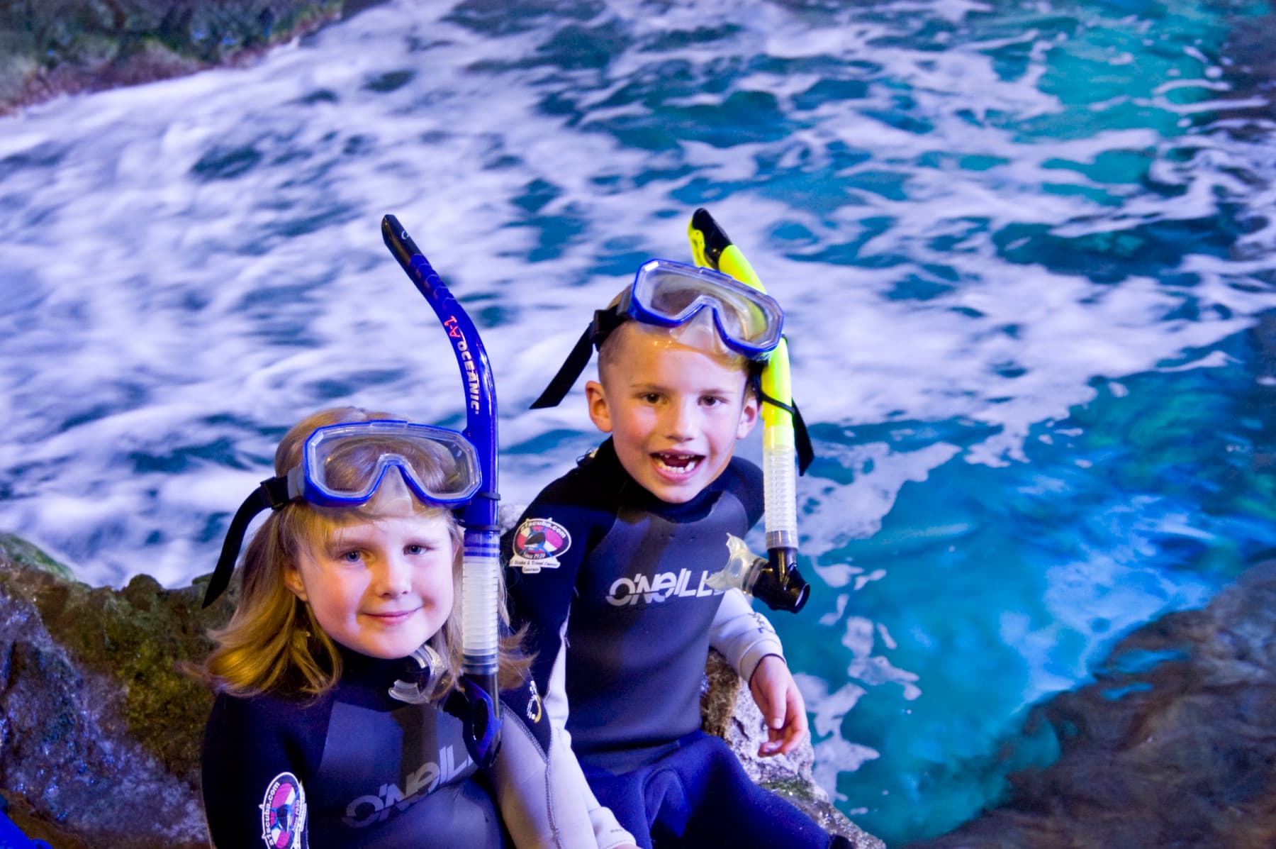 scuba programs at the downtown aquarium in denver photo 4