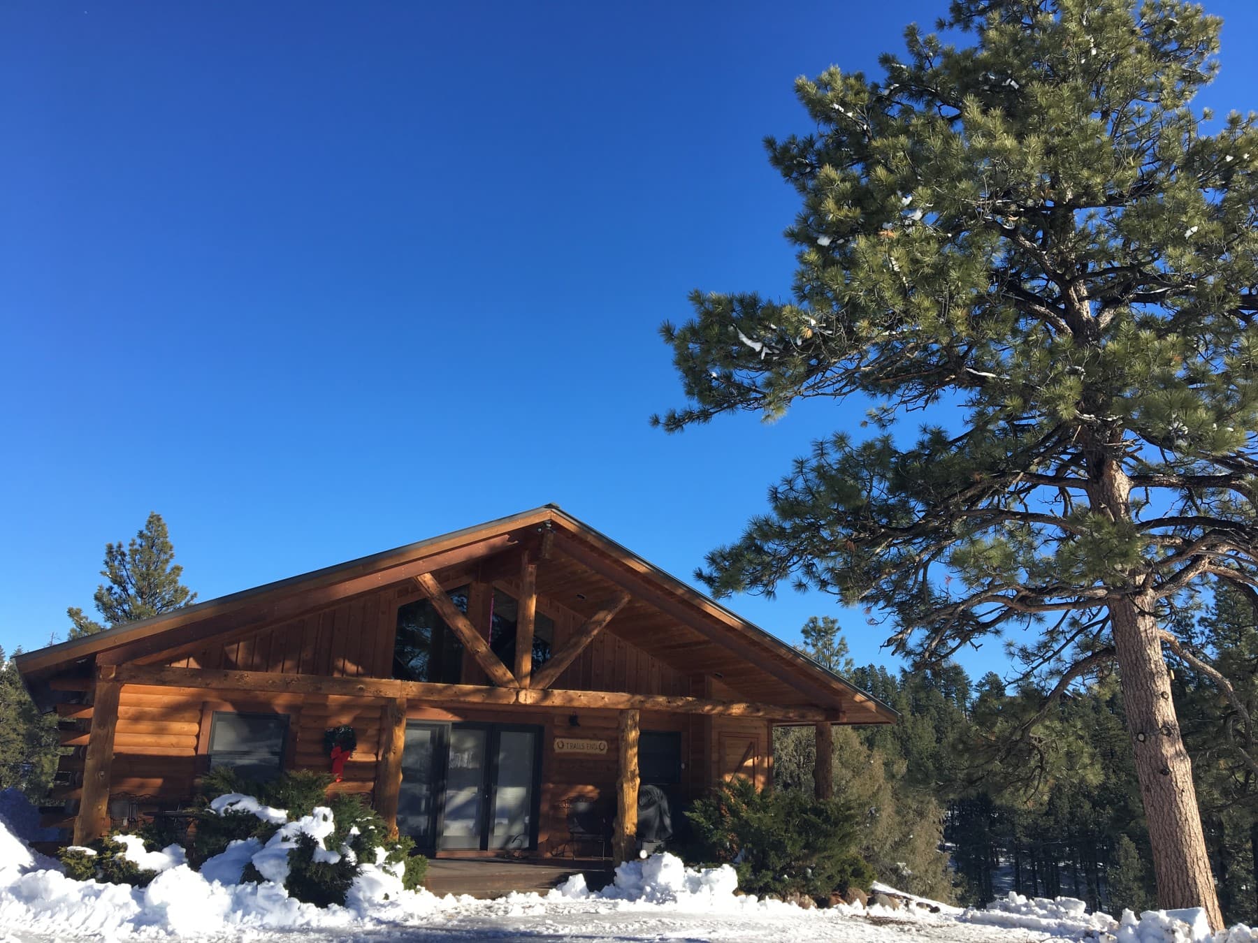 blue sky winter day photo