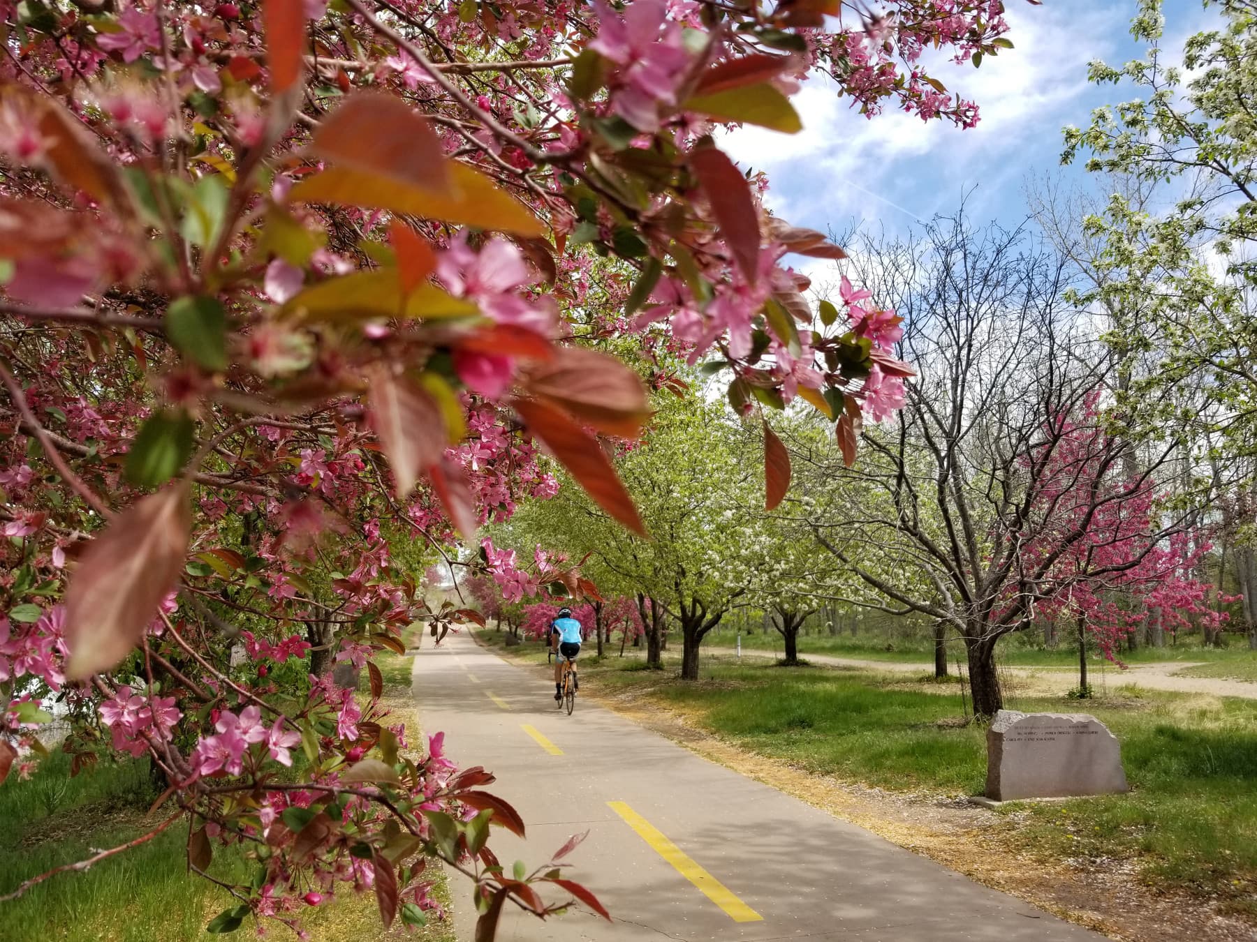 mary carter greenway photo
