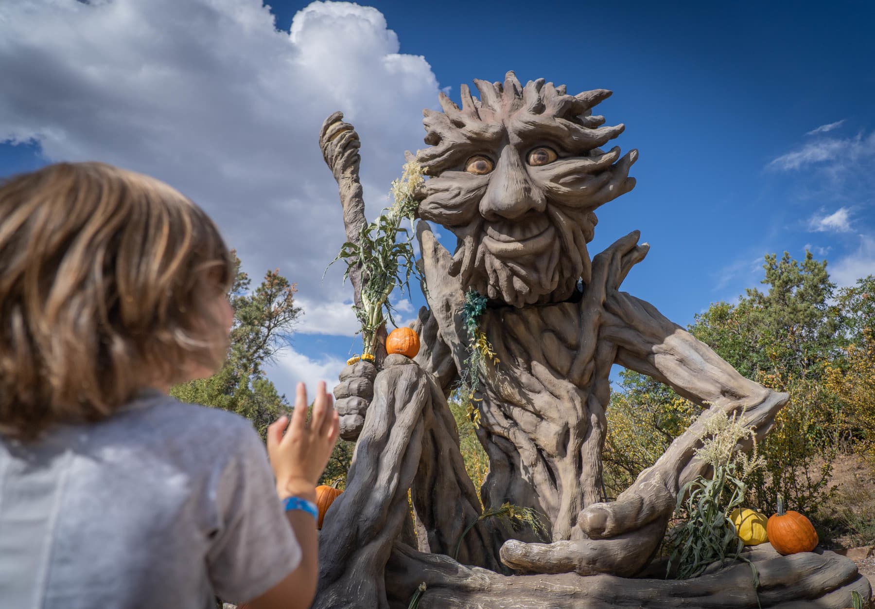 glenwood caverns adventure park photo 4