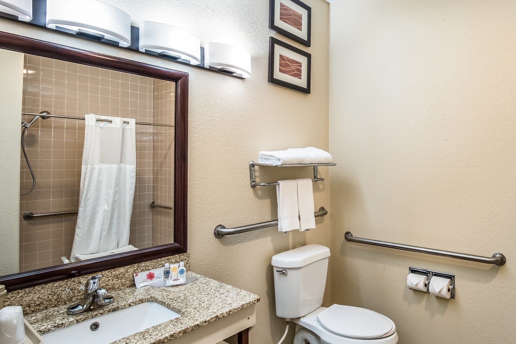 handicap bathroom 1 photo 3