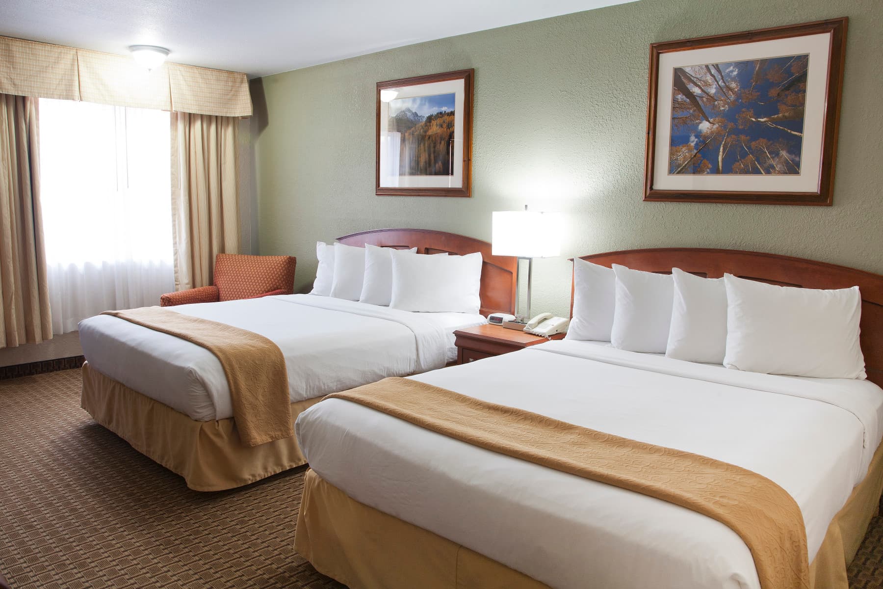 2 queen room photo 7