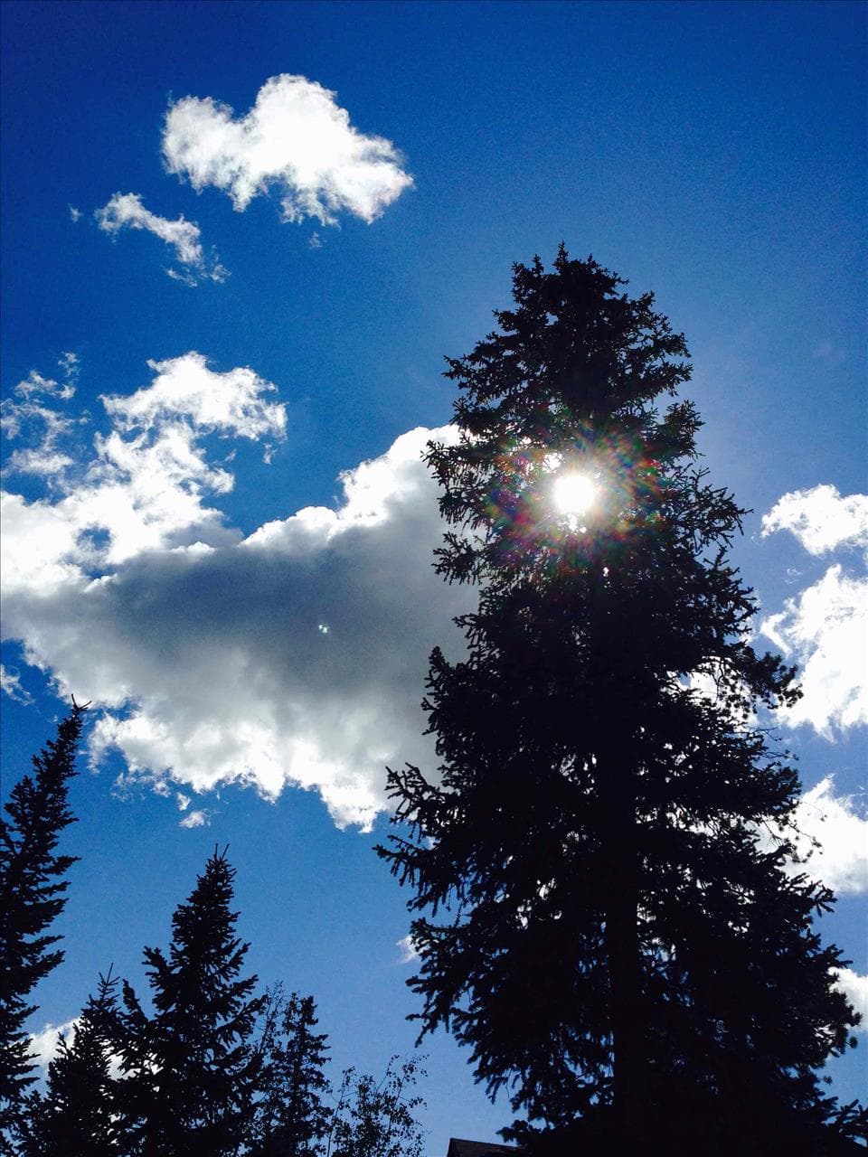 a1 vacation rentals photo 9