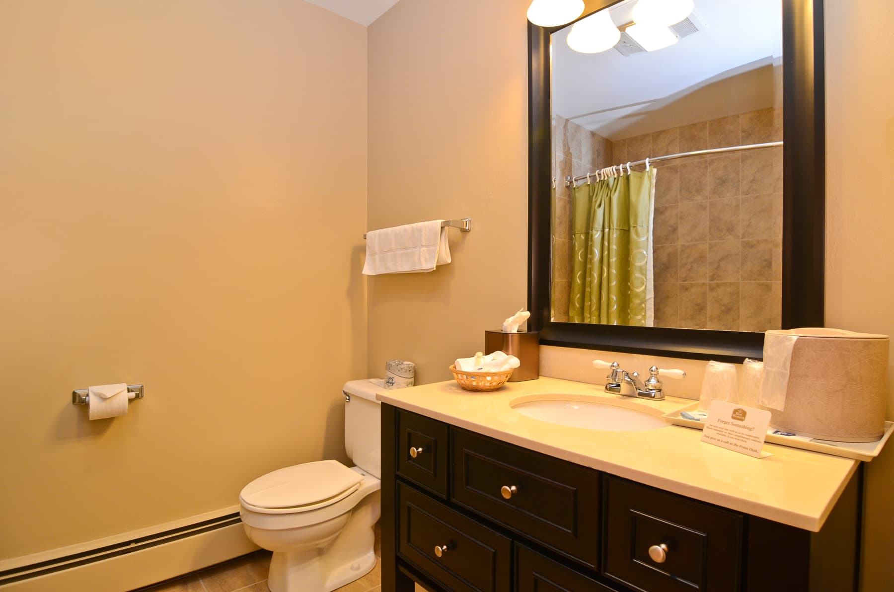 2 bedroom suite photo 5