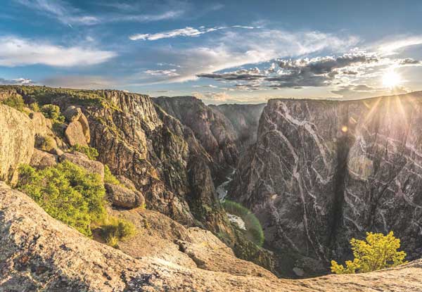 Missouri Pincushion - Colorado National Monument (U.S. National