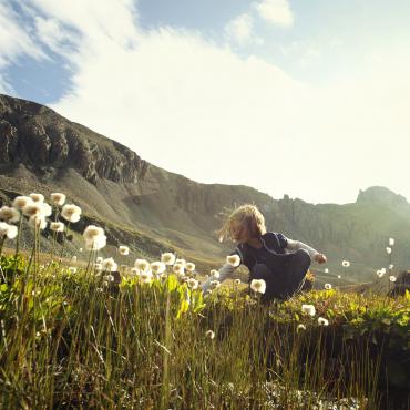 Tumblr A child picks a flower in a field.