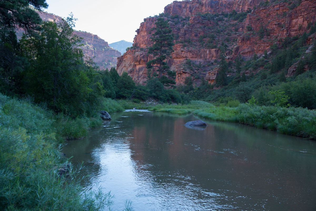 The Dolores River is surrounded by red-rock canyon walls with green grasses and trees on both riverbanks.