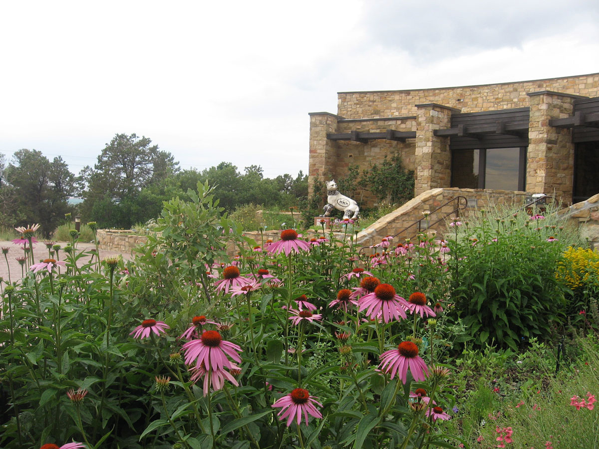 A stone building sits in the background with a statue of an animal. In the foreground pink cone flowers thrive in green bushes.