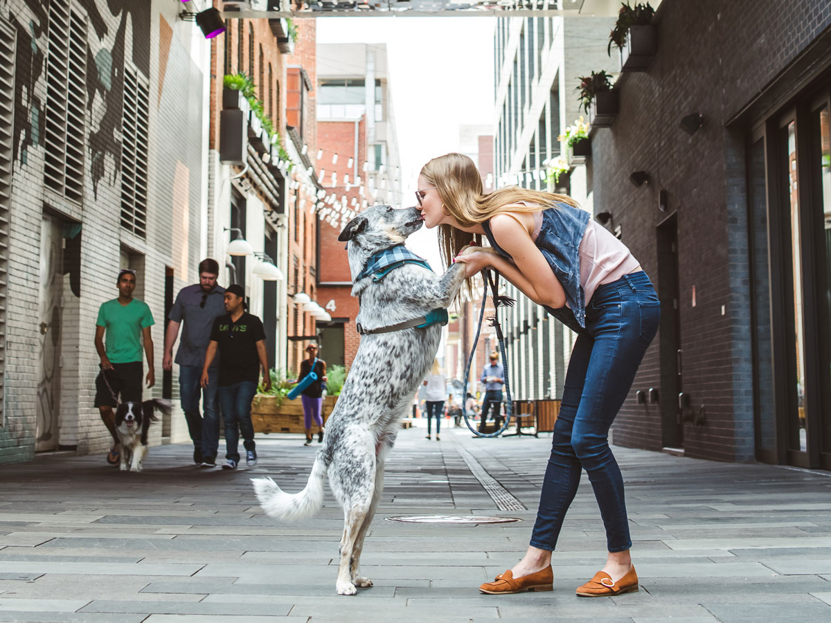 A human in dark skinny jeans and a jean vest holds the front paws of a black-speckled dog wearing a vest and plaid scarf in Denver.