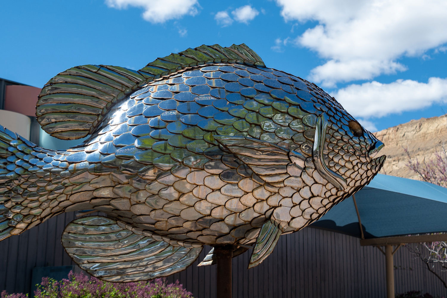 A fish sculpture made of highly reflective metal in downtown Palisade