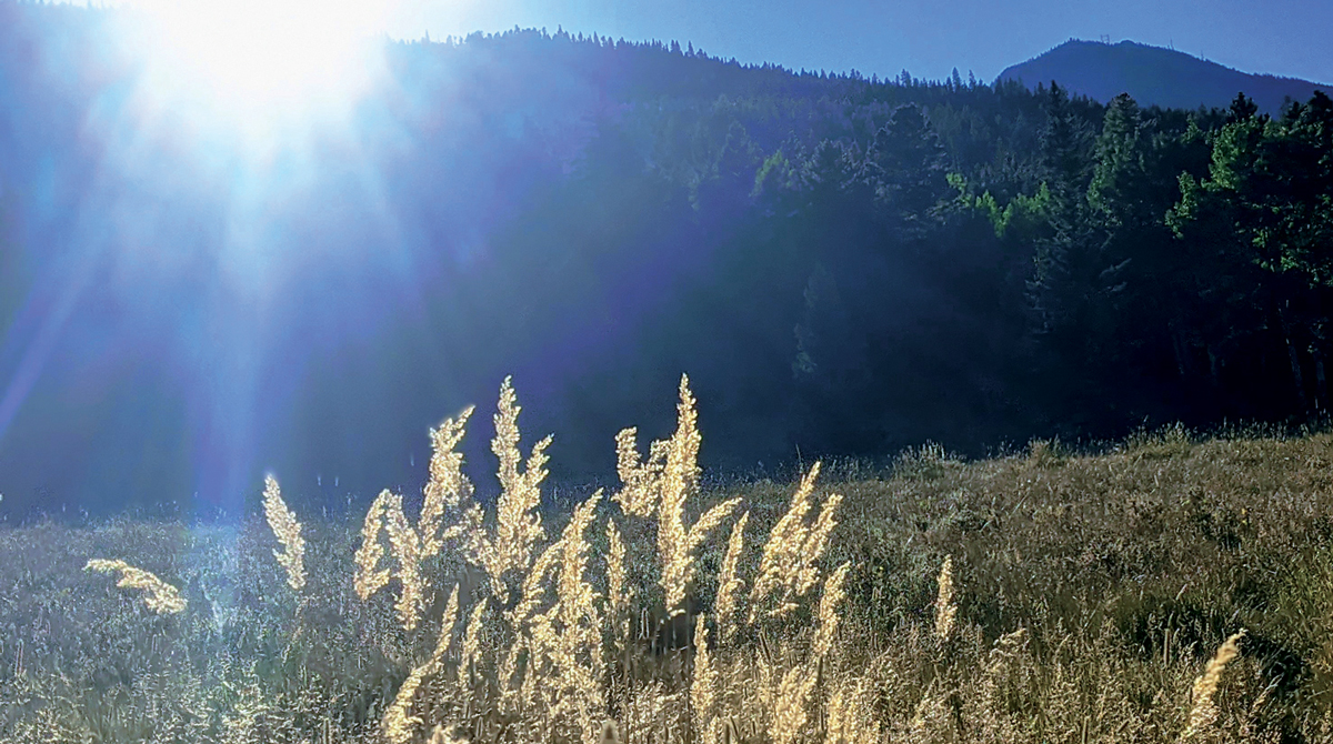 The white glow of a setting sun nearly dips behind the tall mountains in Evergreen, in front of a field of rye.