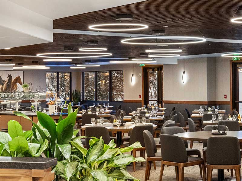 An empty restaurant dining area, with brown tables and a few green plants beneath circular light fixtures