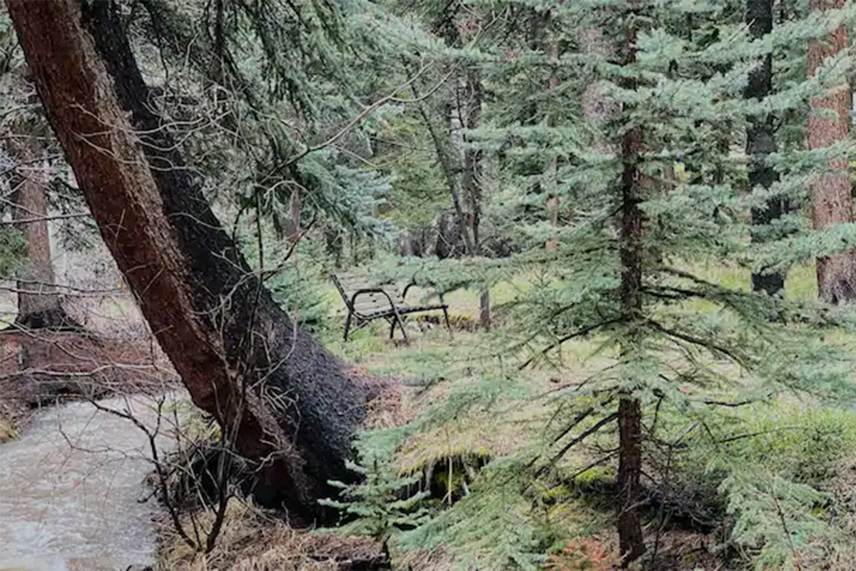 A bench stands alone in a pine forest alongside a rushing creek near Conifer, Colorado.