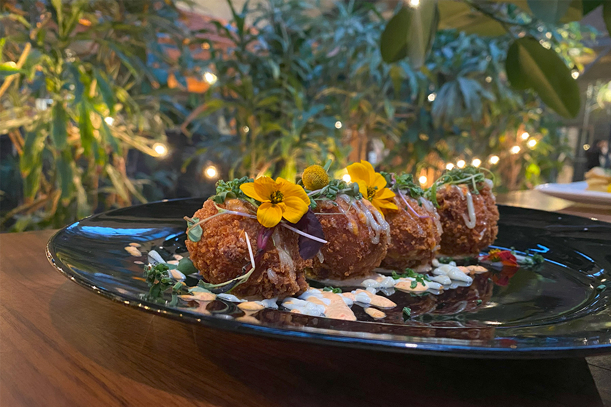A row of crispy croquettes, round deep-fried breaded balls with savory fillings, sit on a black plate at the Historic Cow Palace Inn in Colorado.