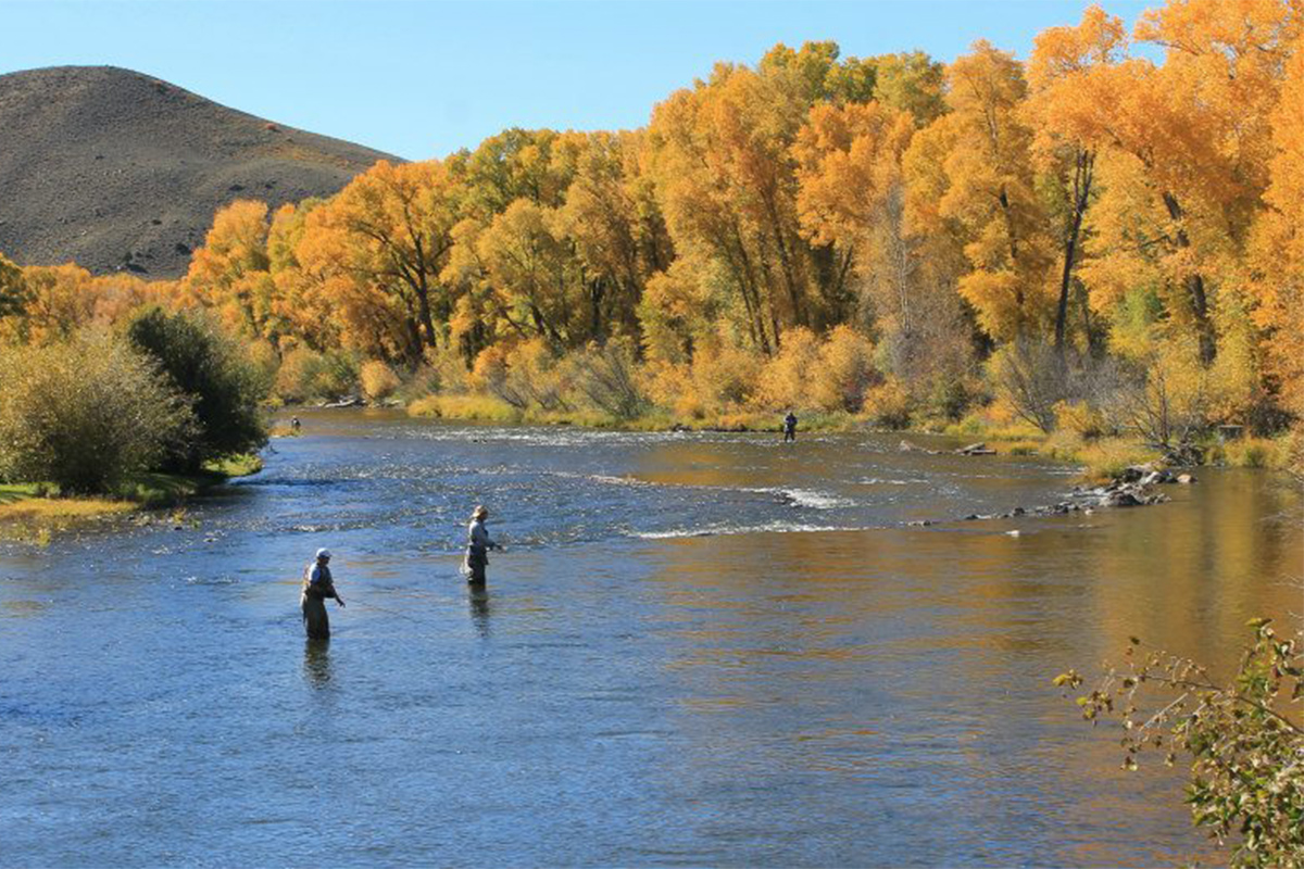 In Parshall, Colorado, anglers fly fish on the Colorado River near Bar Lazy J Guest Ranch. All around them aspen and cottonwood show off their autumn colors.