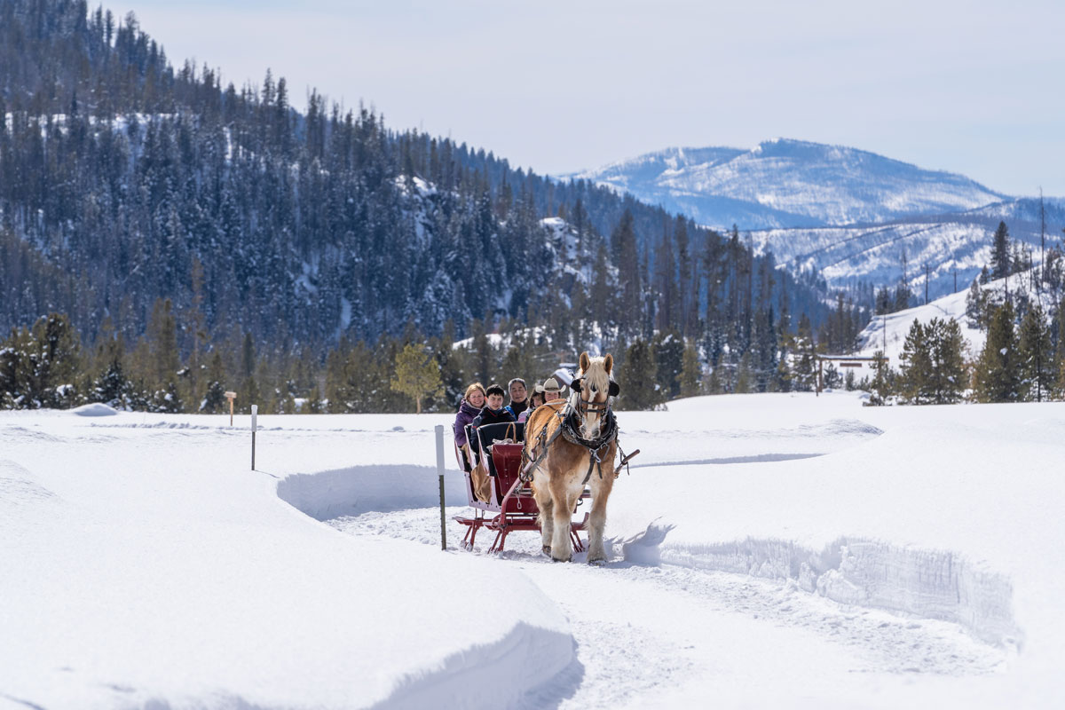 A fluffy, large horse pulls at least five people dressed warmly in a red carriage through a wide path surrounded by deep snow. In the background are several tall pine-tree-covered hills with snow dusted on them.