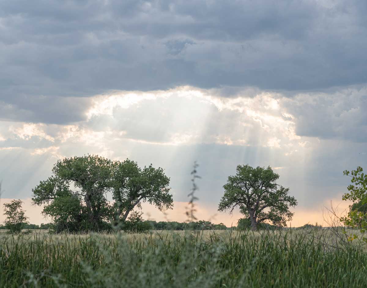 Jackson Lake State Park
