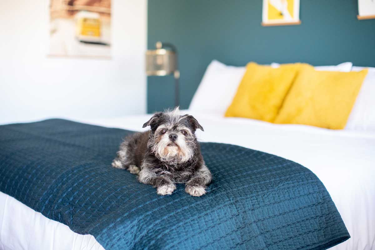 Spoke and Vine Motel