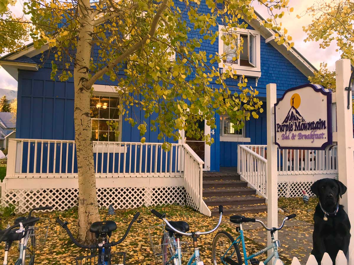 Purple Mountain Bed & Breakfast