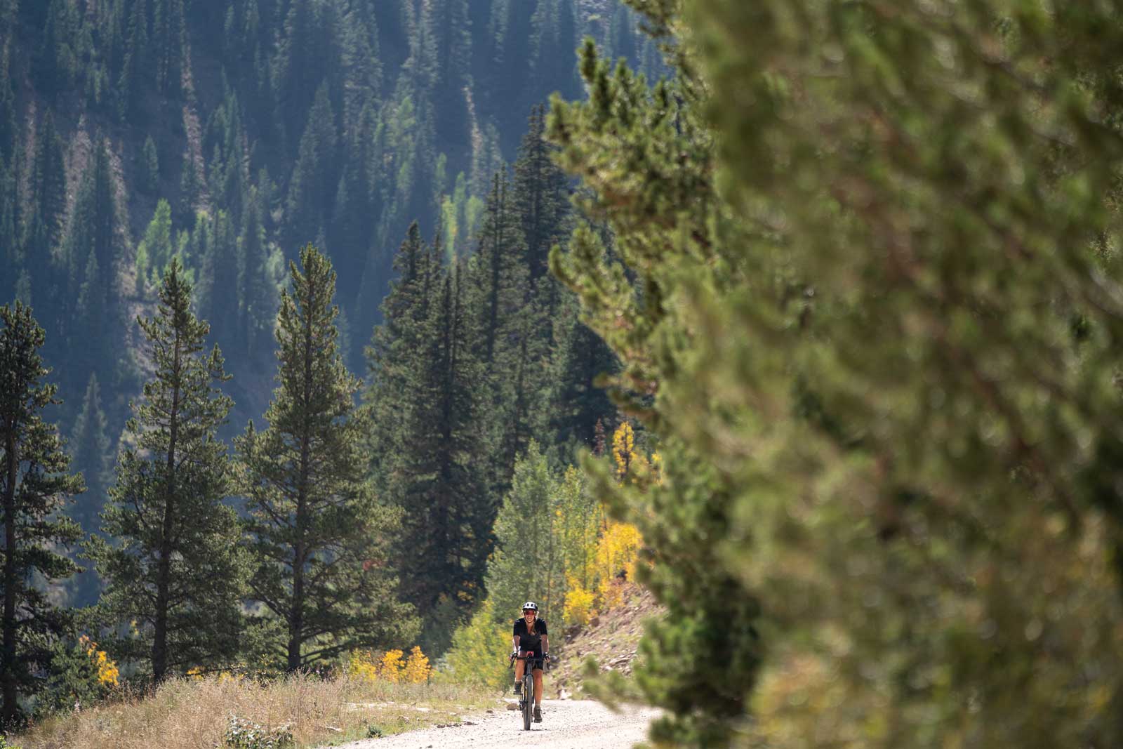 A gravel biker surrounded by confifer and aspen trees near Crested Butte