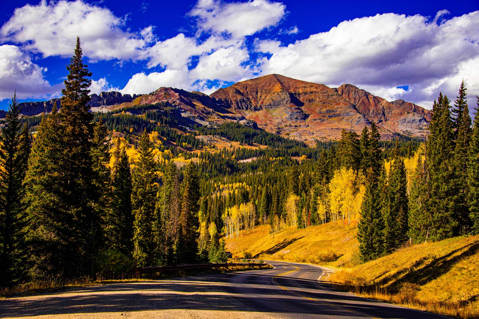 A carpet of yellow leaves lines the roadside and dot the mountain rising in the distance