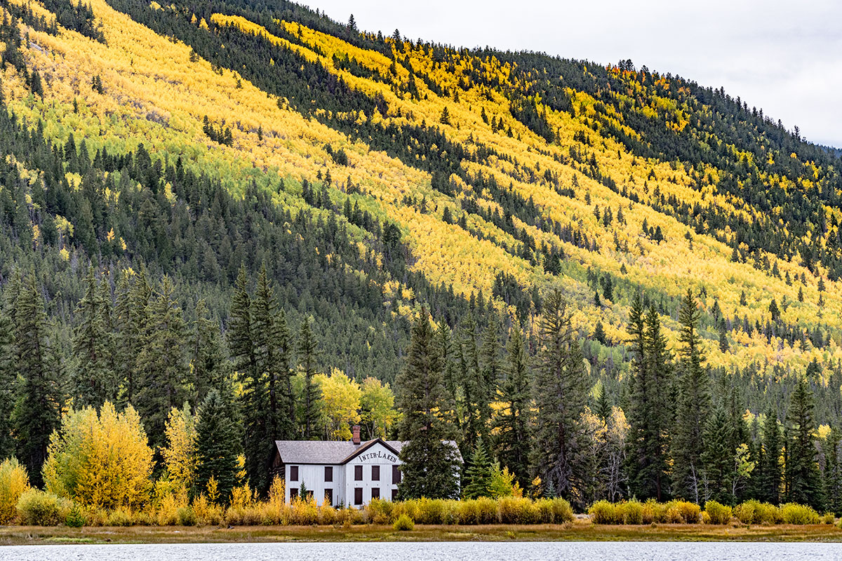 A mountainside with yellow aspen trees behind a white historic resort building