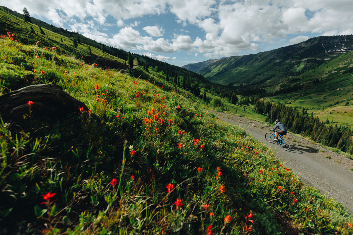 Gravel biker rides uphill in the mountains of Crested Butte and Gunnison, surrounded by red wildfloers