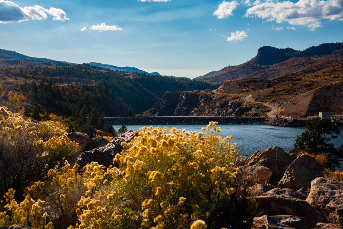 The shimmering waters of Blue Mesa Reservoir peer out from behind fall grasses, with a winding road leading to the mountains in the background.
