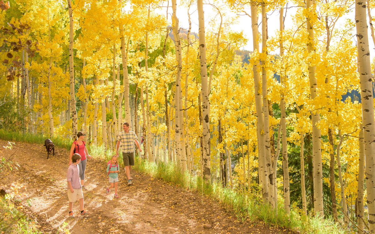 family hiking during fall at Vail Colorado